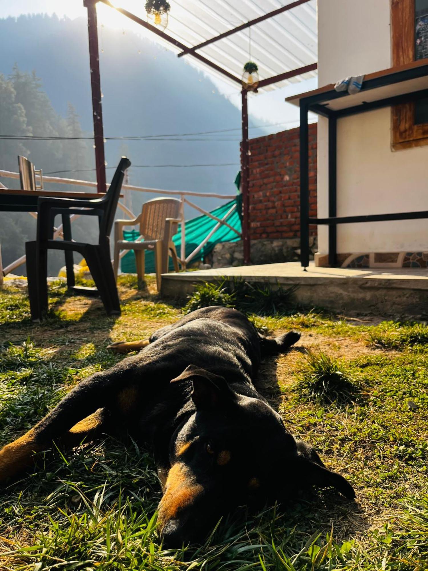 Hotel Adinova Kasol Eksteriør bilde