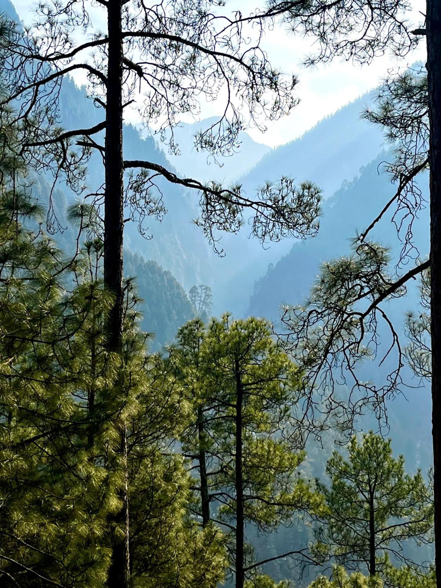 Hotel Adinova Kasol Eksteriør bilde
